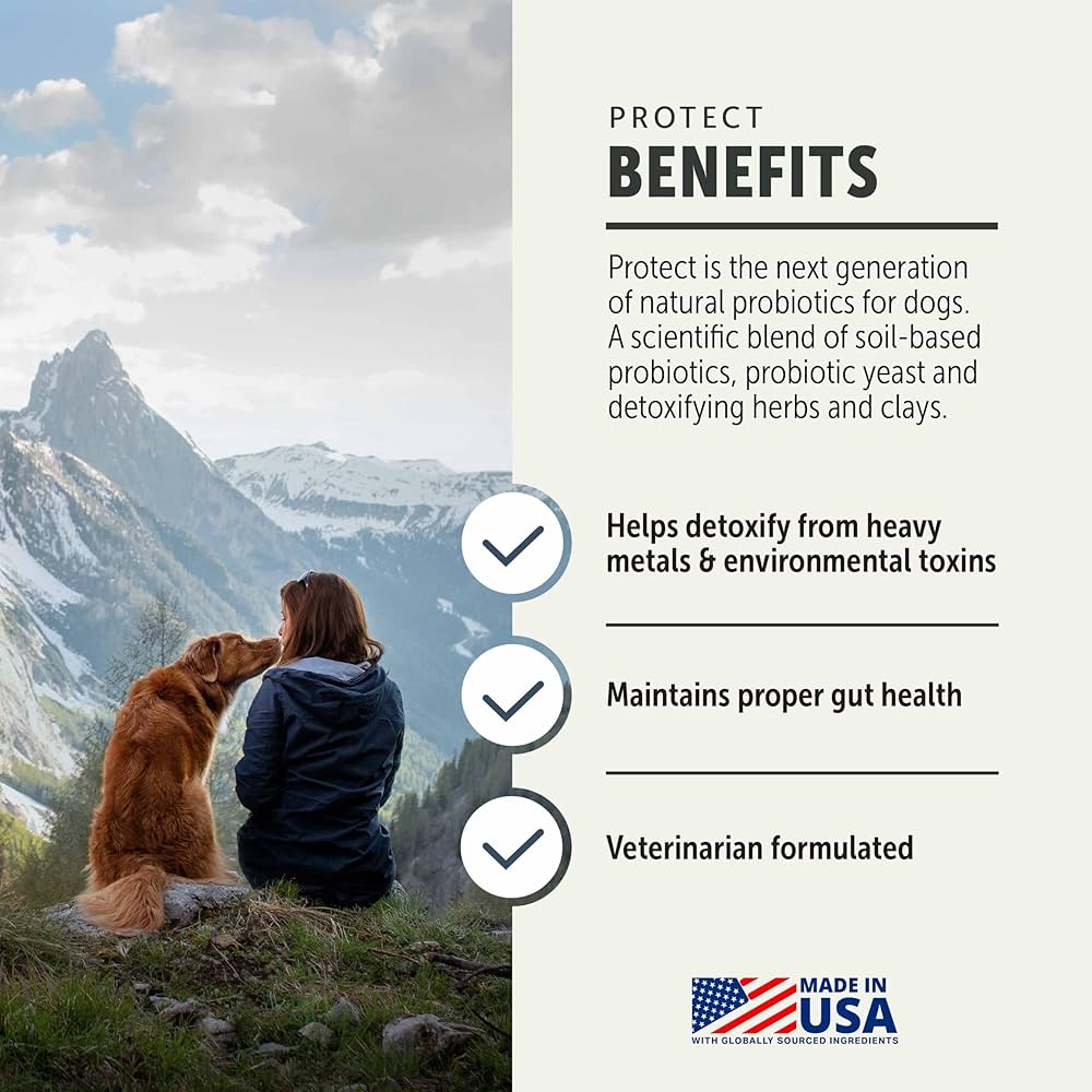 Amazon.com: Four Leaf Rover Protect - Probiotics for Dogs